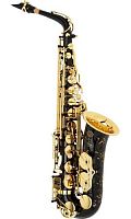 Selmer Jubilee SA80II NGGO