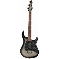 PEAVEY Raptor Custom SLB