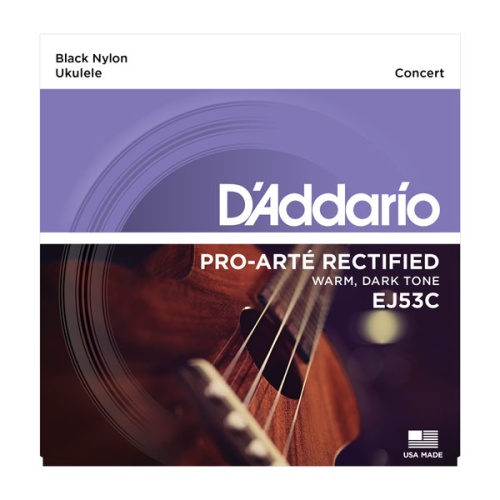 D`ADDARIO EJ53C